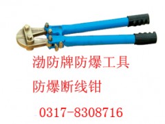防爆扁嘴钳，防爆钳子【渤防*防爆工具】图2