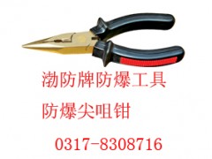 防爆扁嘴钳，防爆钳子【渤防*防爆工具】图3