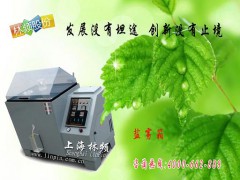 【LRHS】盐雾试验箱→现货供应图2