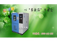 LRHS-101-NQ换气式老化箱图2