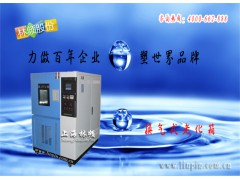 LRHS-101-NQ换气式老化箱图3
