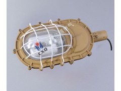 SBD1101-YQL50免维护节能防爆灯图2