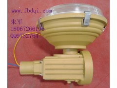 SBD1101-YQL50免维护节能防爆灯图3
