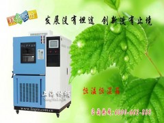 LRHS-101B-LH温湿度控制箱图2
