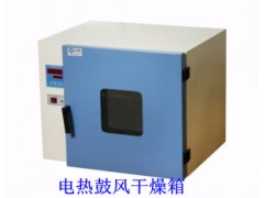 电热鼓风干燥箱，电热恒温干燥箱，智能生化培养箱图3