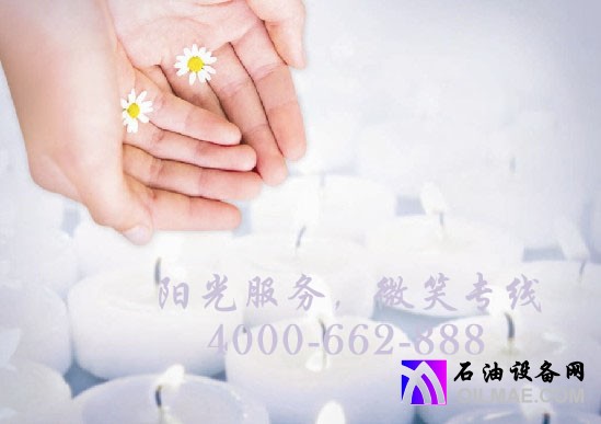 图1 (1)