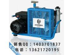 LYX100型CS彩弹射击高压空气压缩机图1