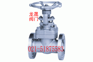 Z41W锻钢闸阀
