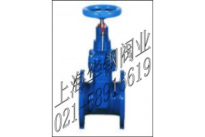 FDZ45X-16加密防盗软密封闸阀