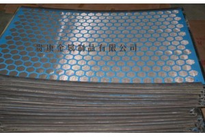 供应订制石油振动筛网
