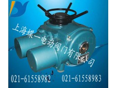 电动执行器，DZW电动装置，多回转阀门电动装置，图1