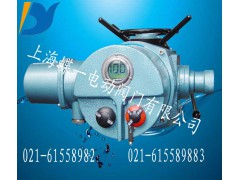 电动执行器，整体一体化电动装置，整体型阀门电动装置，图1