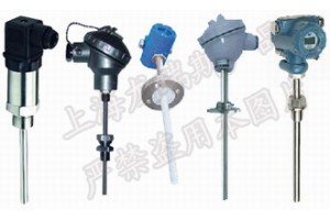 一体化温度变送器