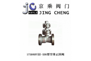 175H48Y(H)-200型空排止回阀