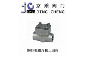 H61H锻钢焊接止回阀