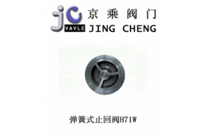 弹簧式止回阀H71W