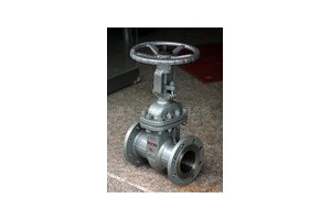 供应德标阀门 Z61H-100 加工