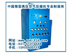 LYX440/500型石油呼吸高压空气压缩机图1