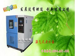 LRHS-101-NQ换气式老化箱图1