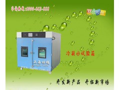 温湿度检测设备—冷凝水试验箱图1