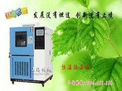 LRHS-101B-LH温湿度控制箱图1