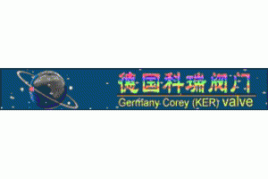 进口阀门