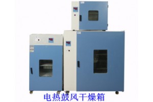 电热鼓风干燥箱价格