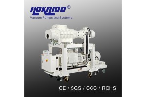 RSE080 干式螺杆真空泵