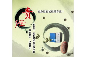 上海林频大型步入式试验室定做